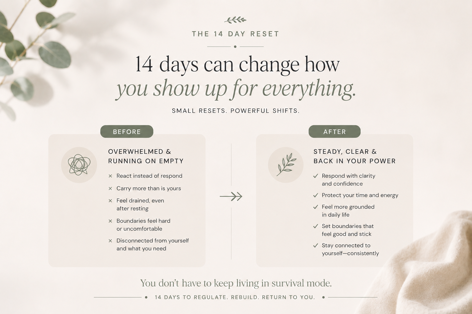 The 14 Day Reset Kit